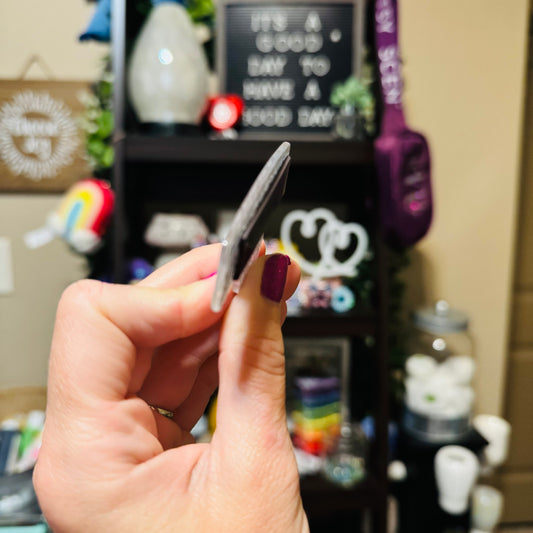 America Cherries Flat Magnet